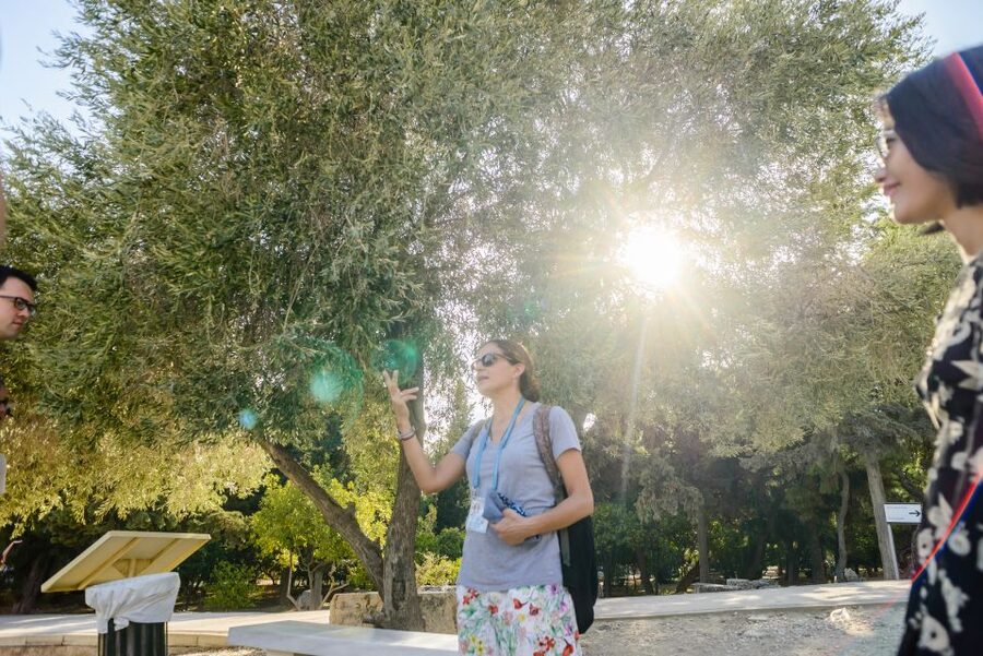 Acropolis: Acropolis and Parthenon Guided Walking Tour - Why this Acropolis tour earns its 4.7 rating