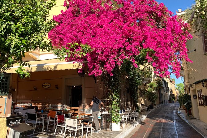 Acropolis & Plaka Neighbourhood Private Tour with Licensed Expert - Starting at Makrygianni Street