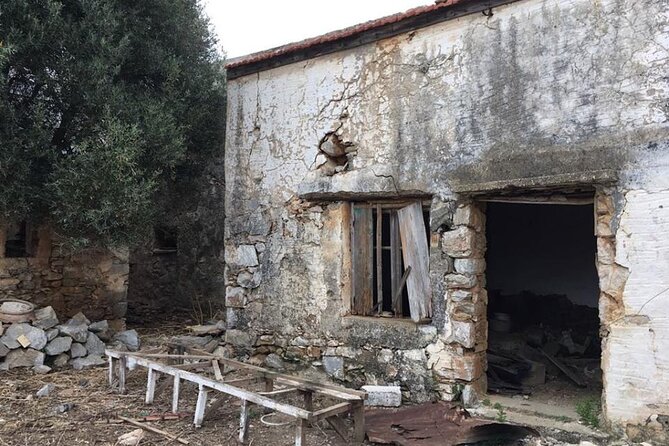 Agia Pelagia Quad Safari to Discover the Authentic Crete - Olive Culture Along the Way