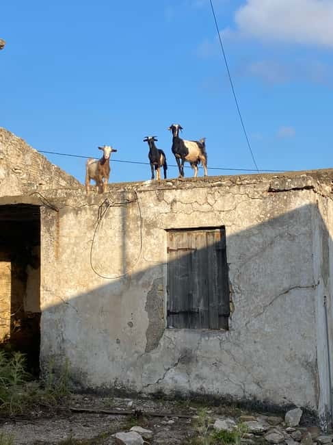 Agia Pelagia: Sunset or Morning Quad Tour & Ghost Town Visit - Down the old donkey road toward Fodele