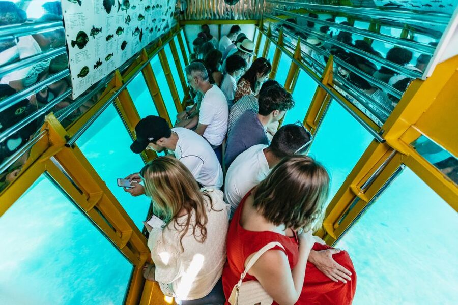 Agios Nikolaos: Semi-Submarine Cruise - Watching fish gather below the windows