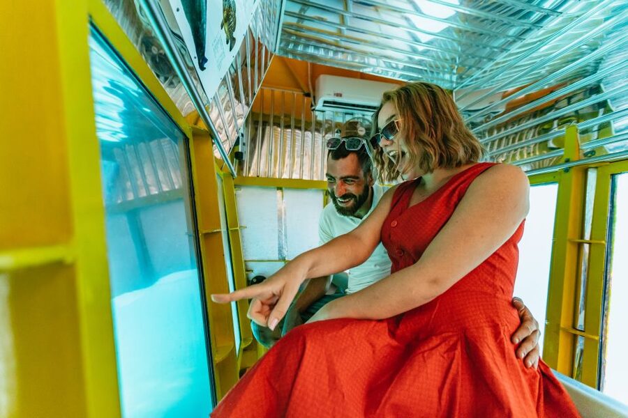 Agios Nikolaos: Semi-Submarine Cruise - Who will enjoy this cruise most