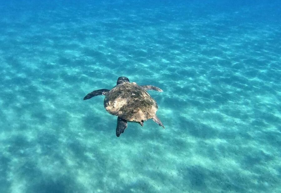 Agios Sostis: Marathonissi, Keri Caves, and Turtle Spotting - What to bring for a more comfortable trip