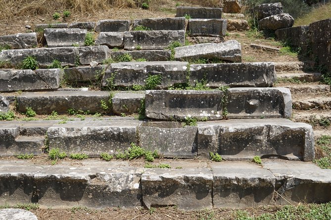 Ancient Sparta & Mystras Private Day Tour from Athens - Who should book this Sparta day trip?
