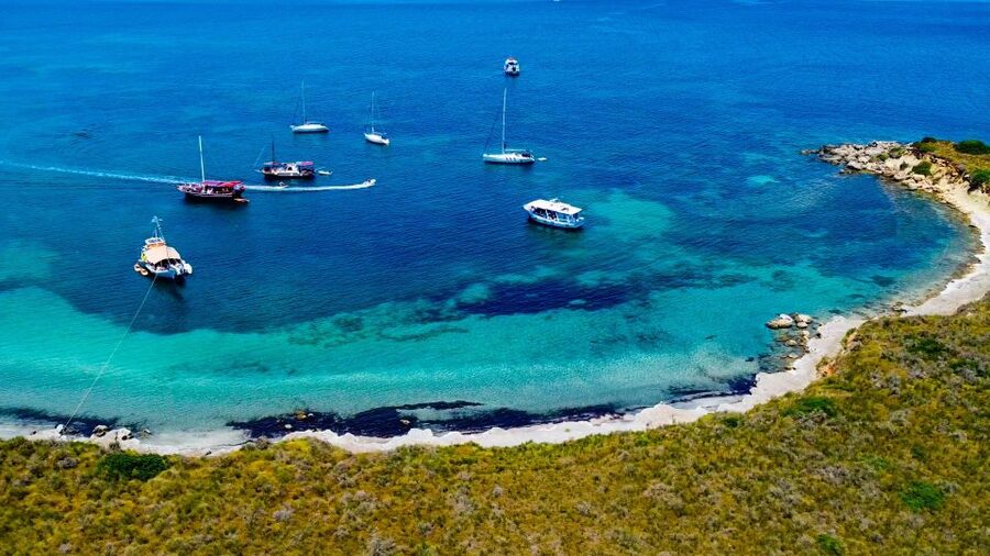 Argostoli: Full-Day Boat Cruise with Lunch - Who should book the Artemis cruise?