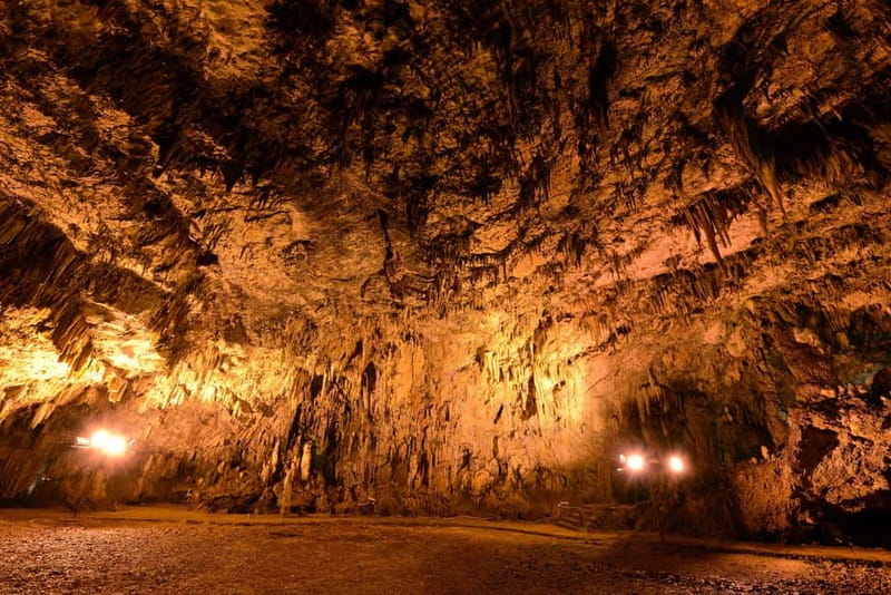 Argostoli: Shore Excursion to Caves with Local Wine Tasting - Drogarati Cave and its concert hall acoustics