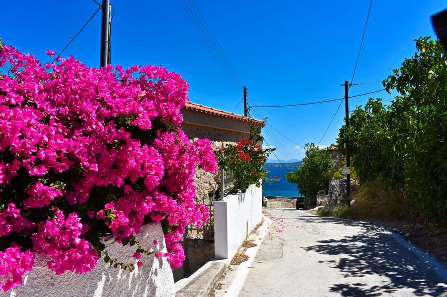 Athens: Agistri, Metopi & Aegina Cruise with Meals & Drinks - Key points to know before booking