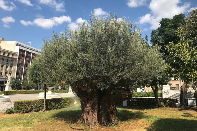 Athens by E-Bike: Monuments, Food & Transfers (Cruise Tour) - Mars Hill and the view across Athens