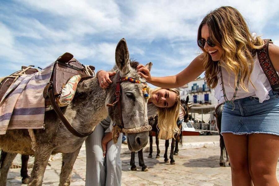 Athens Day Cruise – Since 1965 | Visit Hydra, Poros & Aegina - Who will enjoy this most?