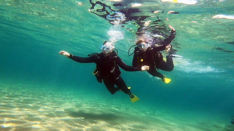 Athens East Coast: Discover Scuba Diving in Nea Makri - The 30-minute lesson that sets the tone