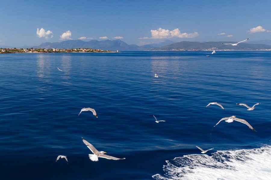 Athens: Guided Day Trip to Aegina Island with Swimming - What the $57 price really covers