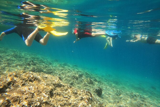 Athens, Nea Makri: Guided Small Group Snorkeling Boat Excursion - Dispa Island and the speedboat ride