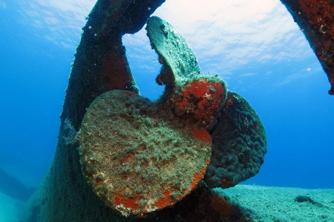 Athens Scuba Diving Experience for Certified Divers with Pickup - Preparing your equipment and body