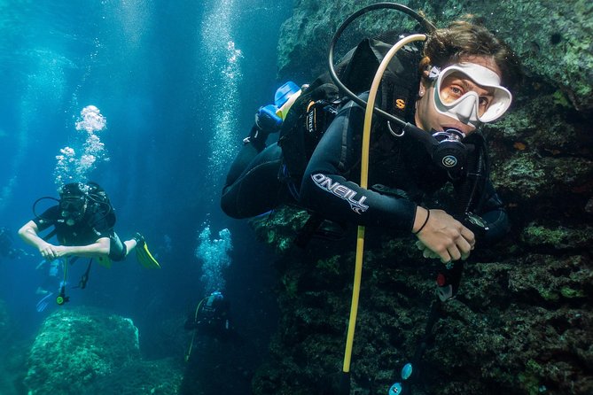Athens Scuba Diving Experience for Certified Divers with Pickup - The guides and the feel of the operation