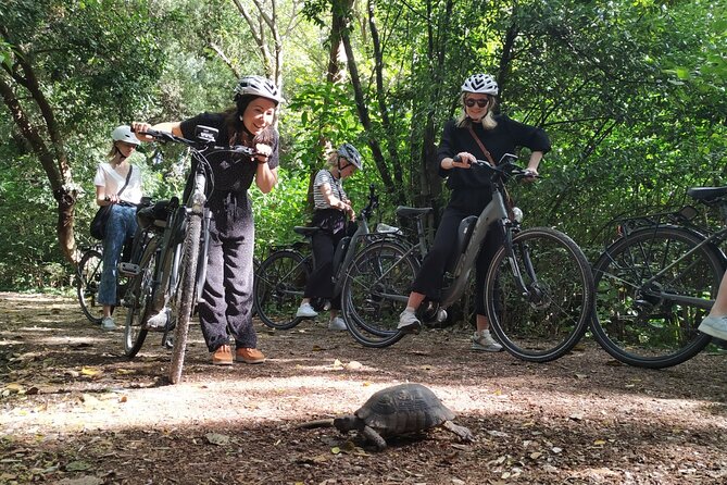 Athens Small Group Electric Bike Tour - The Panathenaic Stadium and royal Athens
