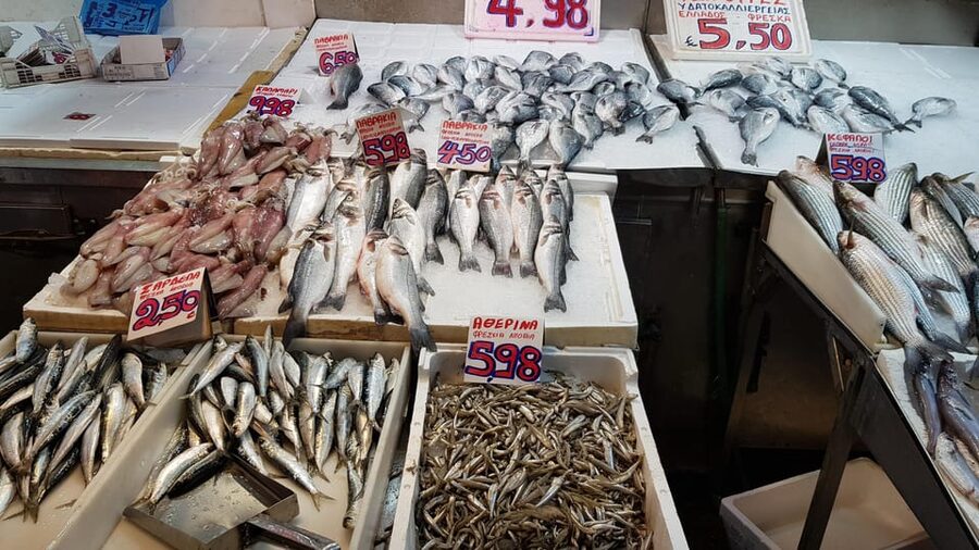 Athens: Traditional Greek food tour in hidden spots - How much food do you receive for $64?