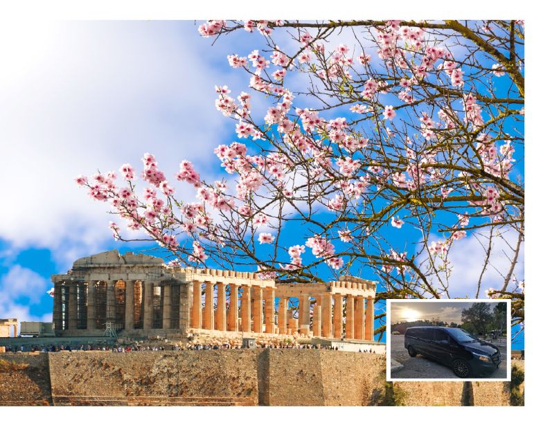 Athens: Wheelchair accessible Top Sights Half-Day Tour - Who should book this Athens tour?