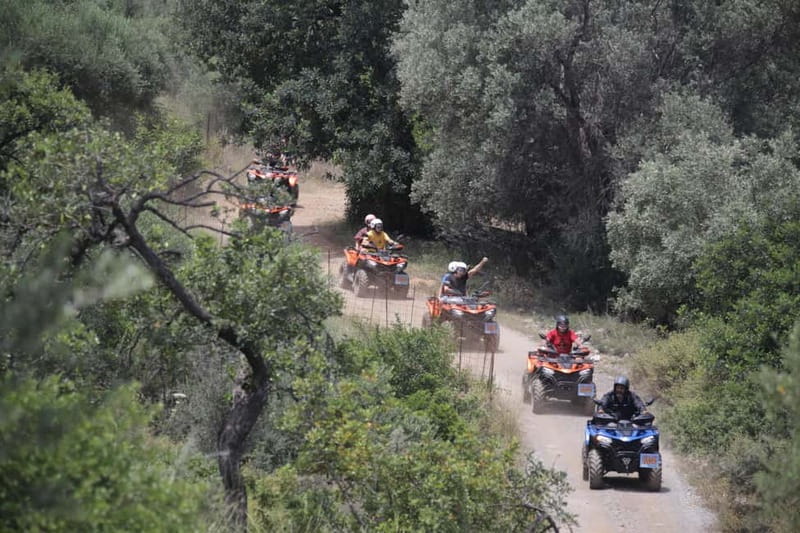 Bali & Panormo Rethymno:Quad Safari & visit Cave 57km 4hours - Riding through the olive groves