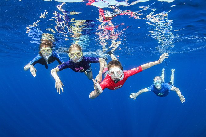 Boat Trip in Crete with Guided Snorkeling and Free Pick up! - Key points to know before you book