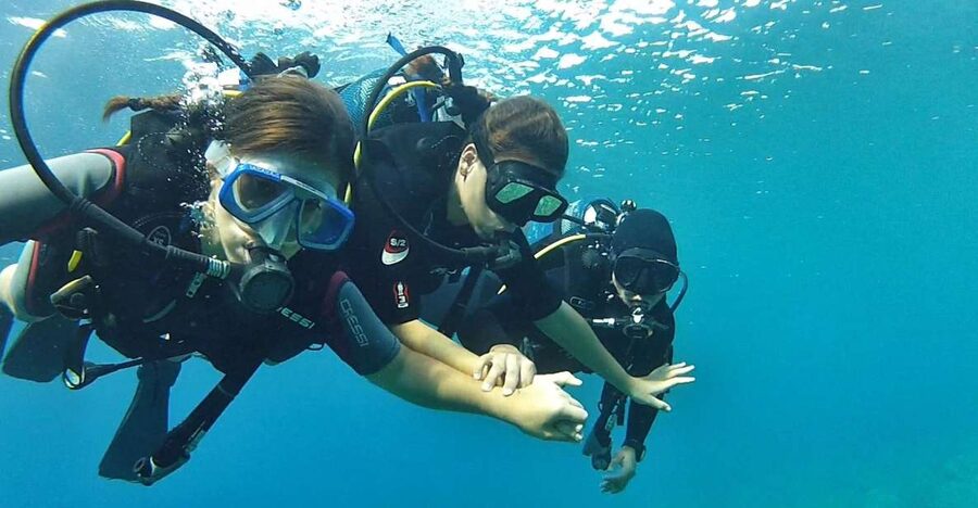 Chalkidiki: Scuba Diving for Beginners in Kassandra - The 20-minute safety briefing