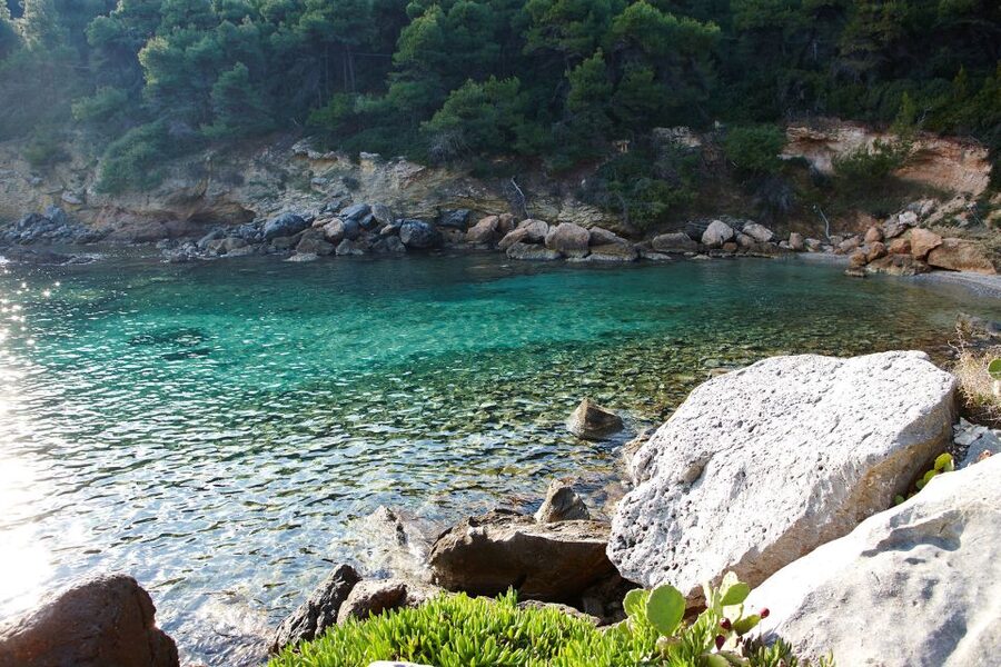 Chalkidiki: Scuba Diving for Beginners in Kassandra - What the $92 price includes