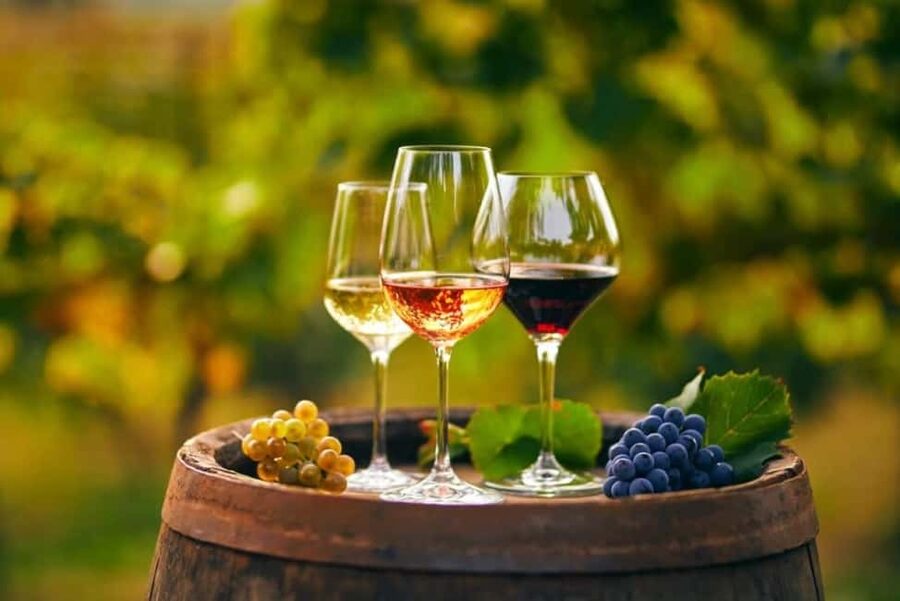 Chania Area: Food Tasting Tour with Winery Visit & Swim Stop - Why this food tour works