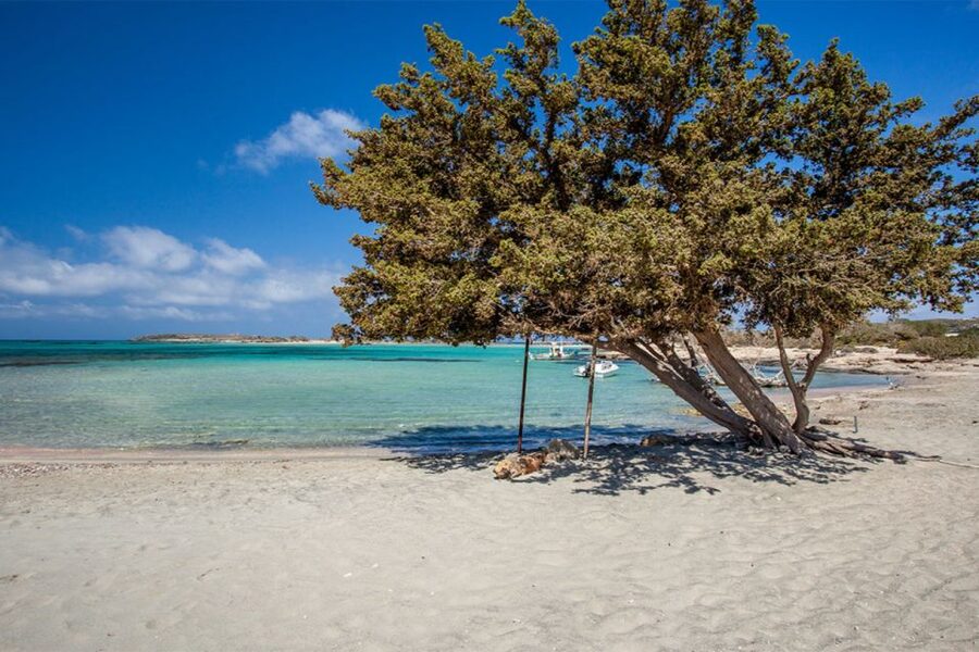 Chania: Elafonisi and Milia Mountain with Loungers and Lunch - Lunch at Milia Mountain Retreat