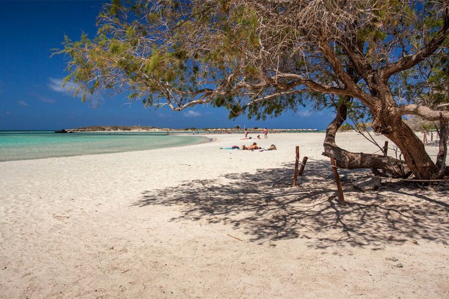 Chania: Elafonisi and Milia Mountain with Loungers and Lunch - What the $194 price includes