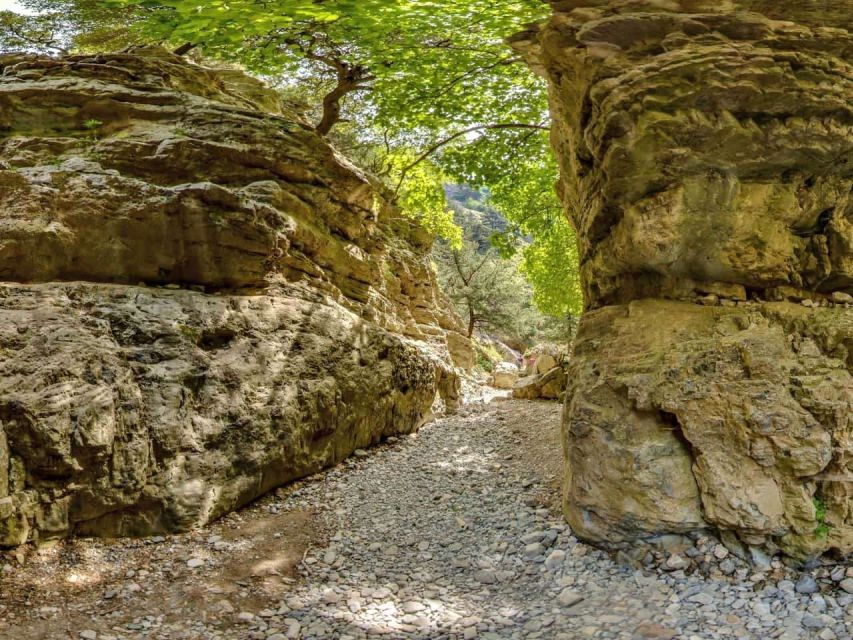 Chania: Imbros Gorge and Libyan Sea Day Tour - Swimming in the Libyan Sea