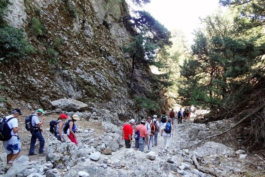 Chania: Imbros Gorge and Libyan Sea Day Tour - The Bus Ride and the Real Timing