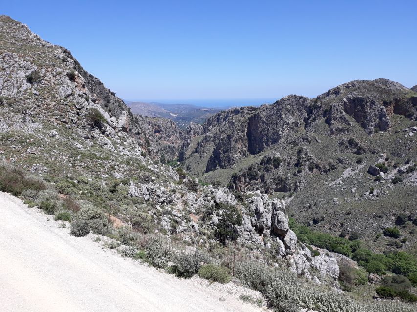 Chania: Milia Mountain Tour w/Lunch Olive Oil/Wine Tastings - What the $176 price includes