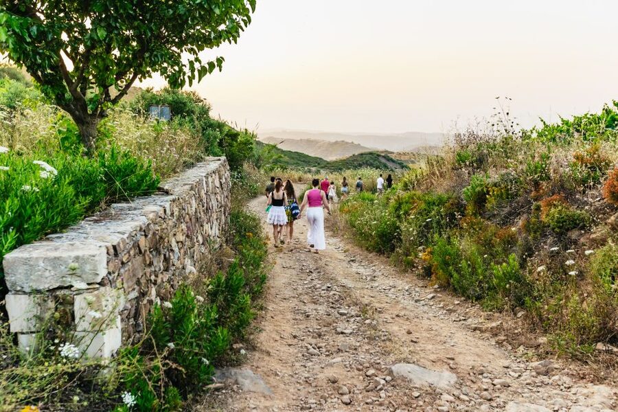 Chania: Off-Road Tour at Sunset - Should you book the Chania sunset safari?