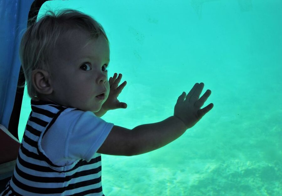 Chania: Semi-Submarine Boat Underwater Experience - The first 25 minutes around the Venetian Harbor