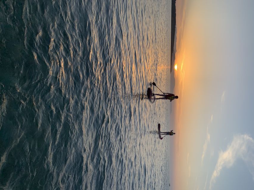 Chania: Stand-up Paddleboard Coastal Sunset Experience - Who will enjoy this evening on the water