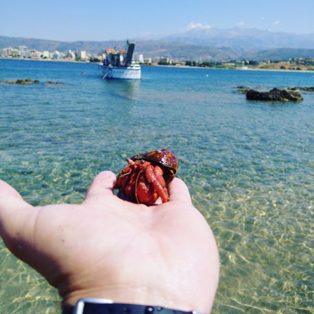 Chania Town: Glass-Bottom Boat Cruise to Thodorou & Lazareta - Thodorou Island and the search for Kri Kri goats