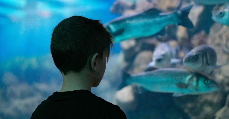 Corfu: Aquarium Entry Ticket with Guided Tour - Two wildlife stops in one compact visit