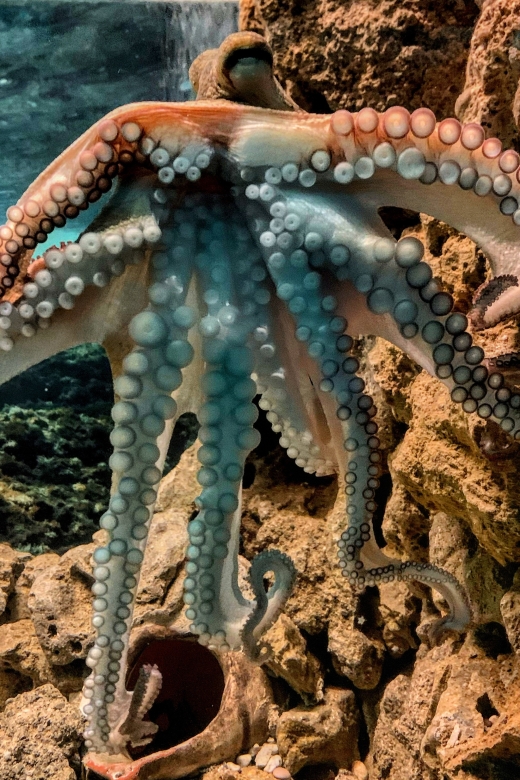 Corfu: Aquarium Entry Ticket with Guided Tour - Who will enjoy this Corfu Aquarium visit?