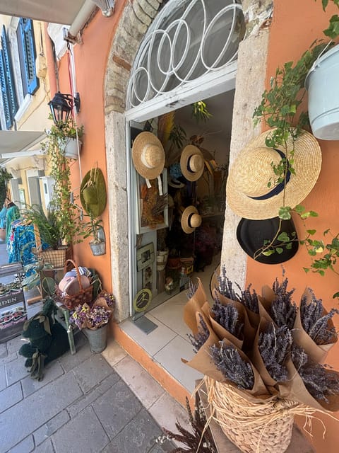 Corfu: Dog Sightseeing Tour - Key points to know before booking