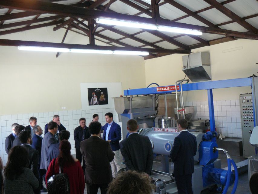Corfu: Olive Oil Experience - The Governor's Olive Mill - Key points to know before you book
