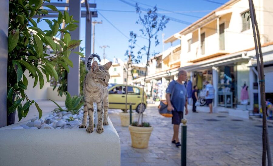 Corfu: Shore & Shared Tour – Kassiopi & Canal d’Amour - The optional boat trip past Cape Drastis