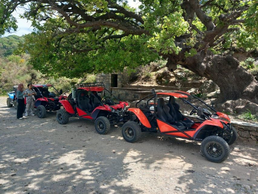 Crete buggy safari - The final reward is a swim at Potamos Beach