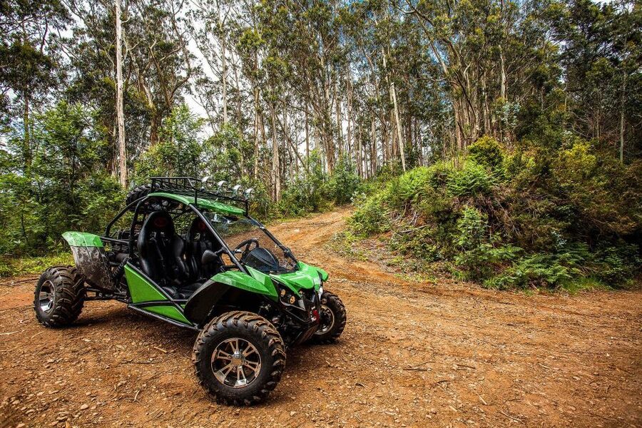 Crete buggy safari - Mountain tracks, gorges, and goats at 700 meters
