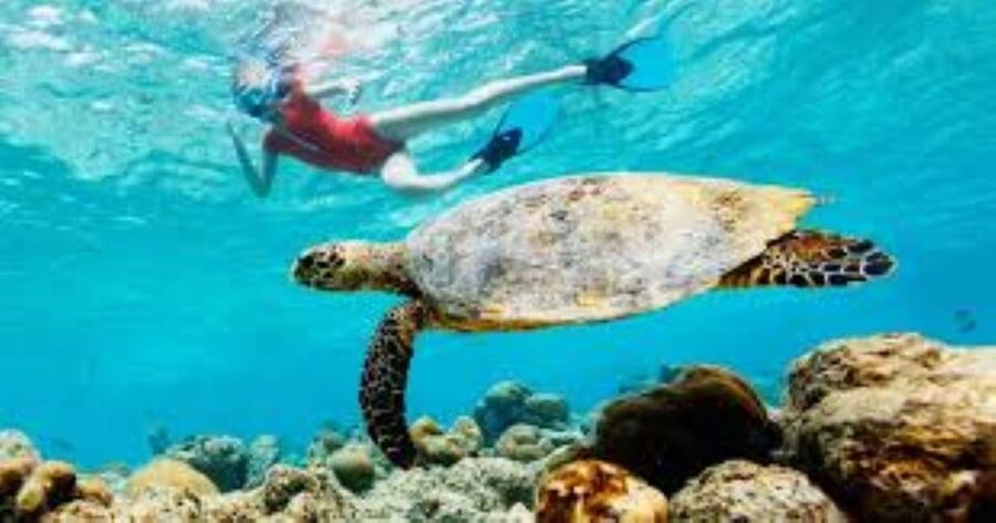 Crete: Coastline Snorkeling Cruise from Hersonissos Port - FAQ