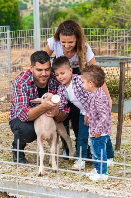 Crete: Farm Visit with Cheese Tasting and Milking Experience - Key points to know before you go