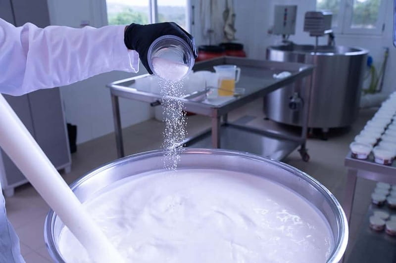 Crete: Farm Visit with Cheese Tasting and Milking Experience - From fresh milk to Cretan cheese