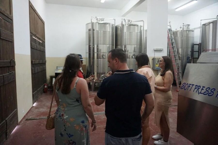 Crete: Full-Day Cretan Wines, Olive Oil, Raki and Food Tour - Who should book this day out