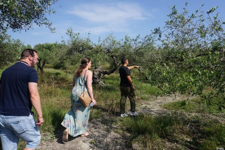 Crete: Full-Day Cretan Wines, Olive Oil, Raki and Food Tour - What the $141 price includes