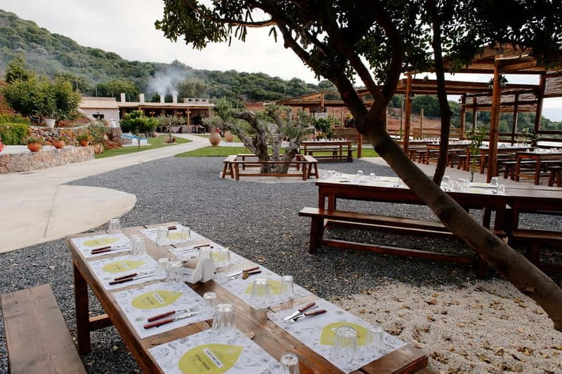 Crete: Knossos, Lasithi, Lasinthos and Olive Farm Combo Tour - The olive mill farm: tastings, views, and lunch