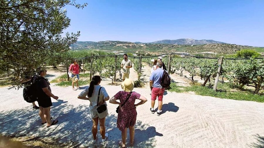 Crete: Knossos Palace, Winery & Olive Oil Tour with Lunch - Why this Crete day trip works so well