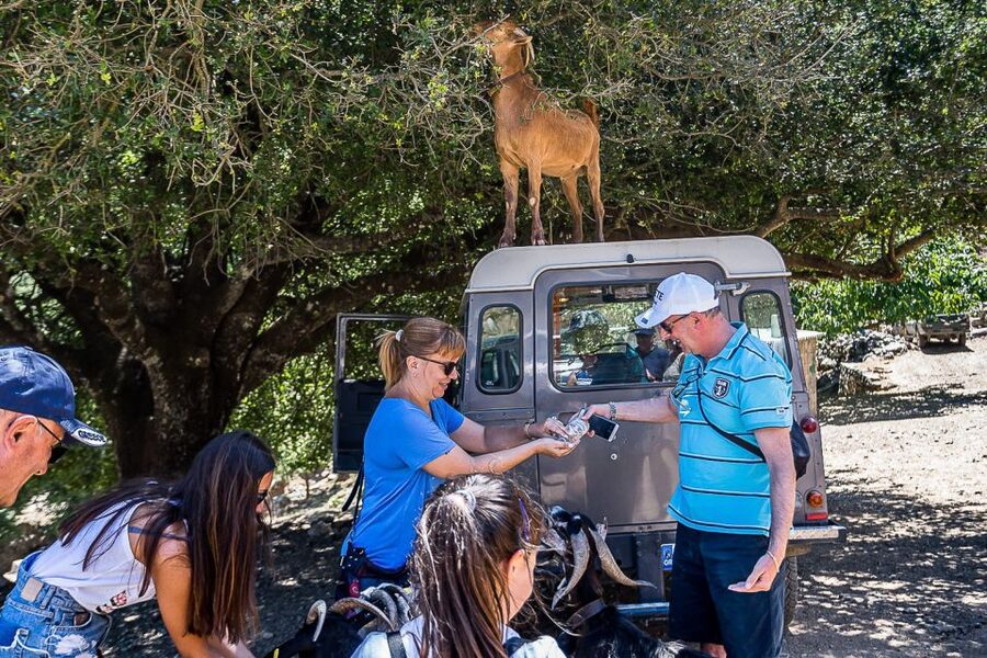 Crete: Land Rover Safari on Minoan Route - Who should book this Crete safari?